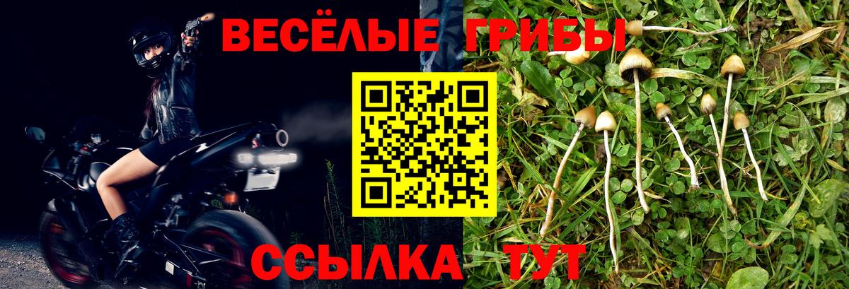 Псилоцибиновые грибы мицелий  Галлюциногенные грибы Psilocybe  Вход с VPN  Бахчисарай 